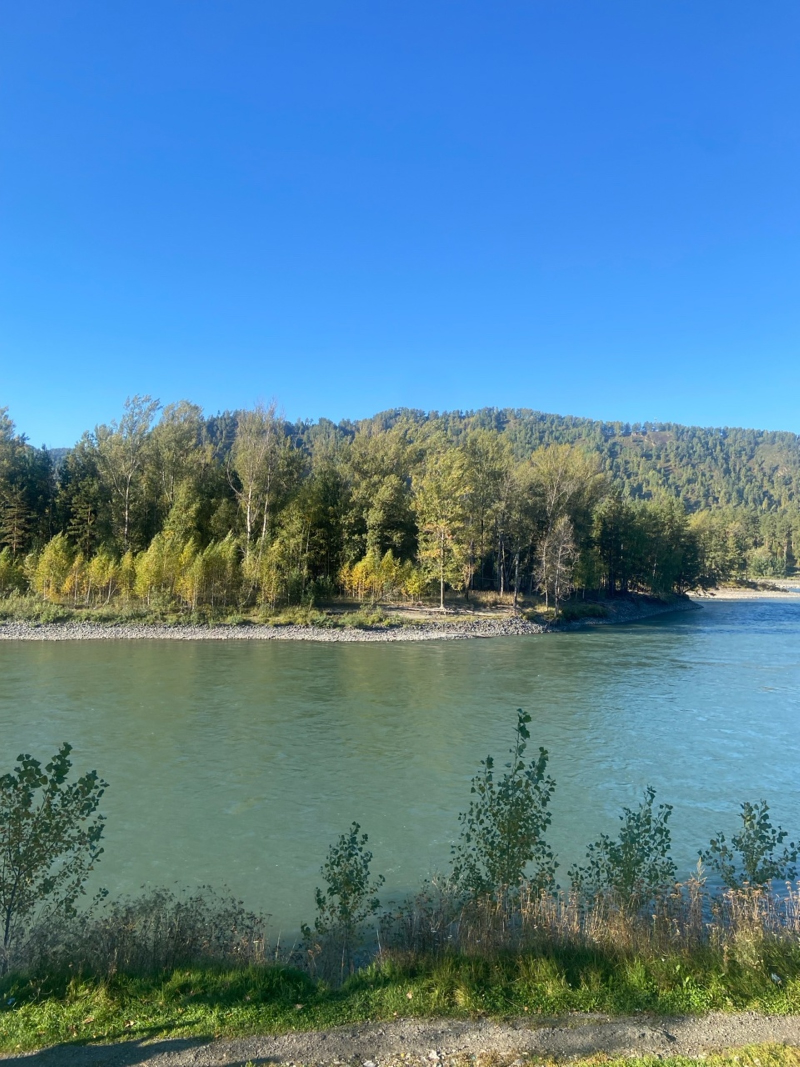 Килендәр ялҡау бит ул хәҙер