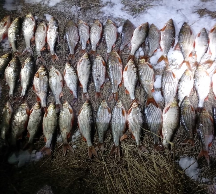 Үҙебеҙ ултырған ботаҡҡа...