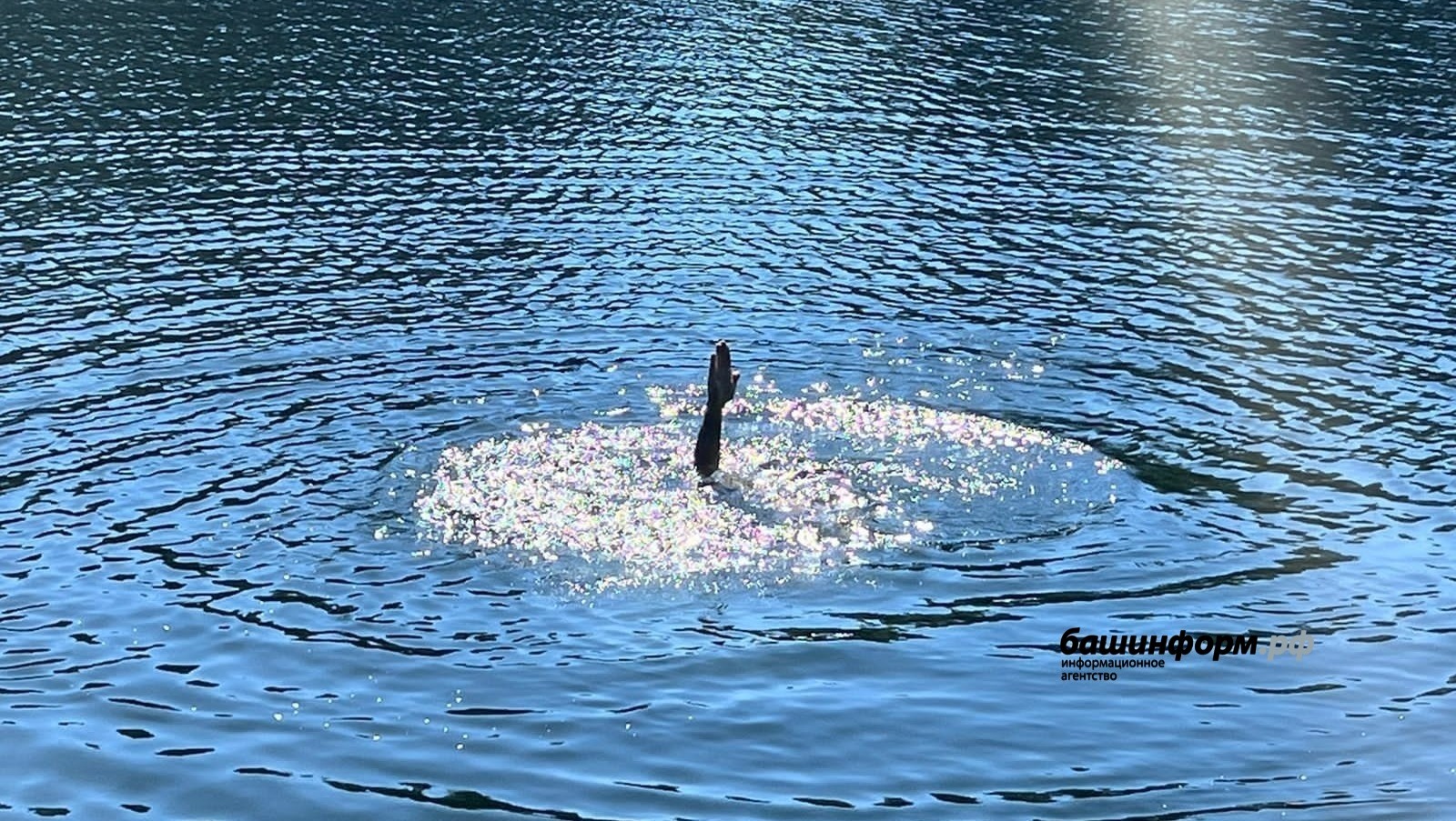 Баланы ҡотҡарам тип, үҙе батҡан...