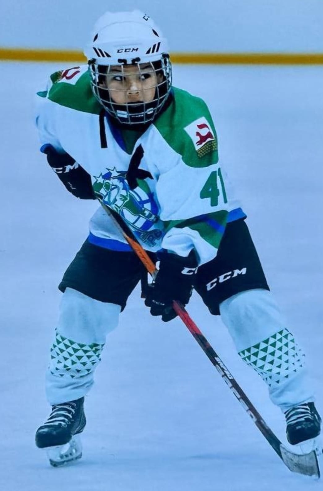 Ҡурҡаҡтар хоккей уйнамай