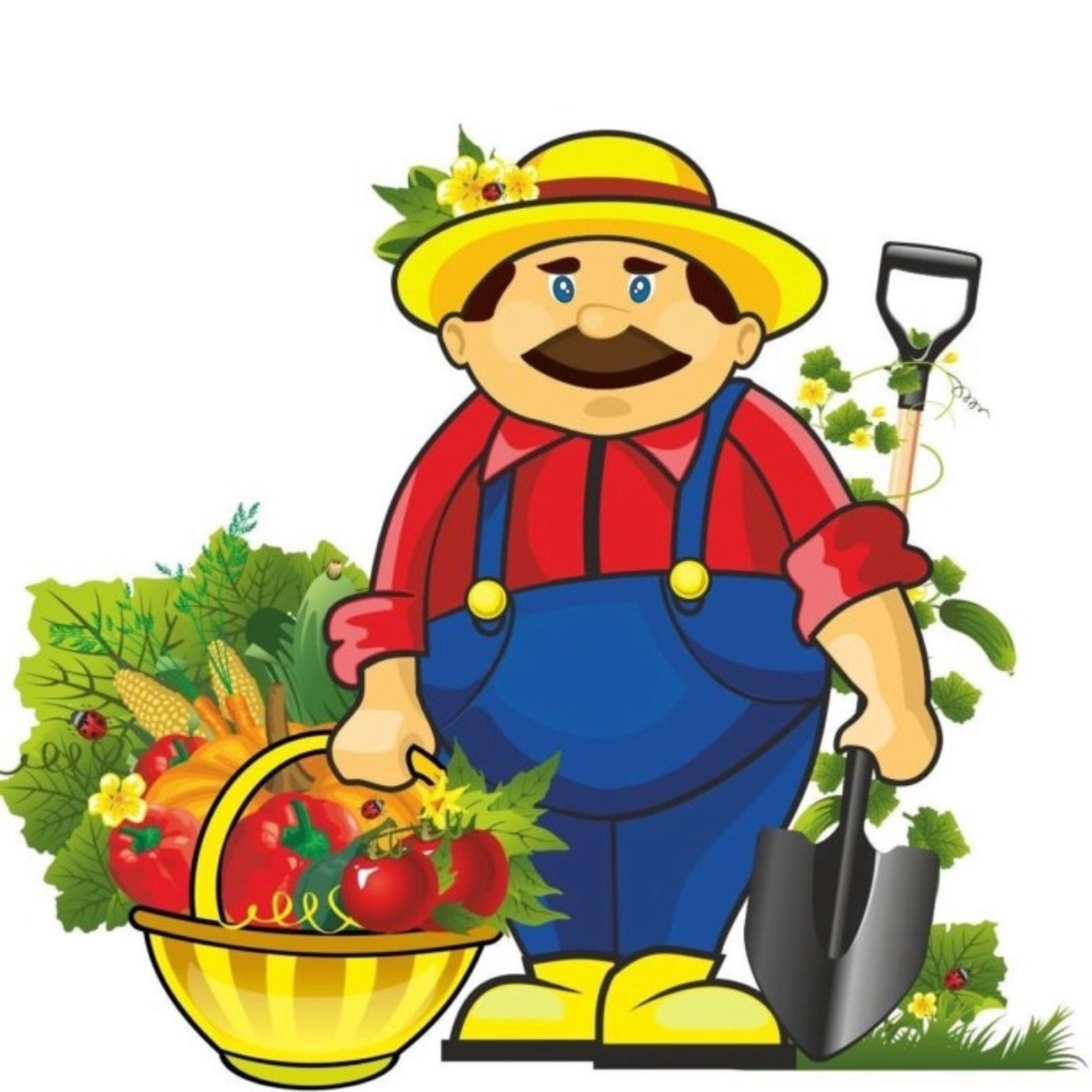 Ялҡауға көн дә байрам