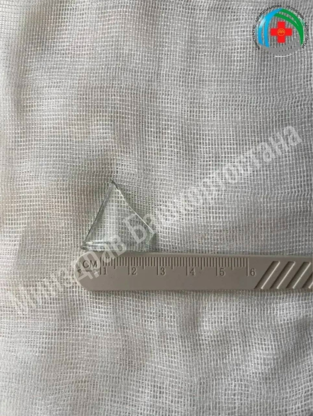 Быяла йотҡан