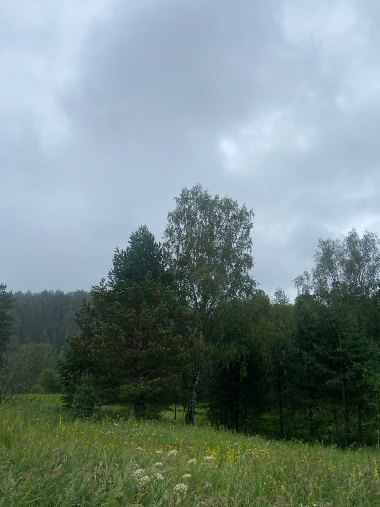 Апайым баламды тартып алмаҡсы...