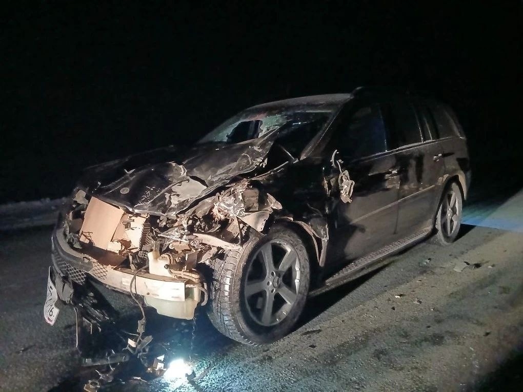 Үлгән малдың хужаһы булмай