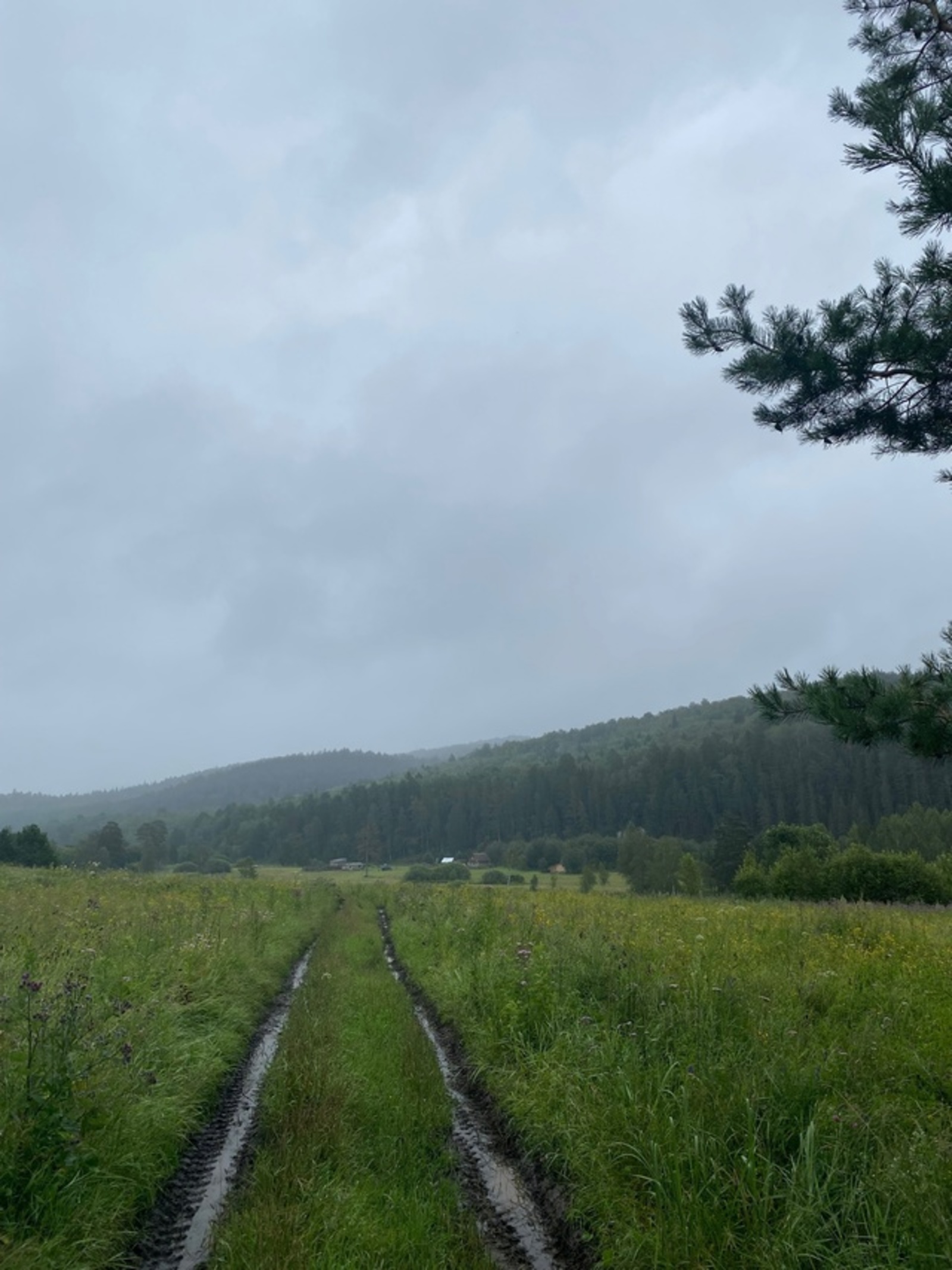 "Хәҙер үк сығып кит, өс балаңды ал да!”