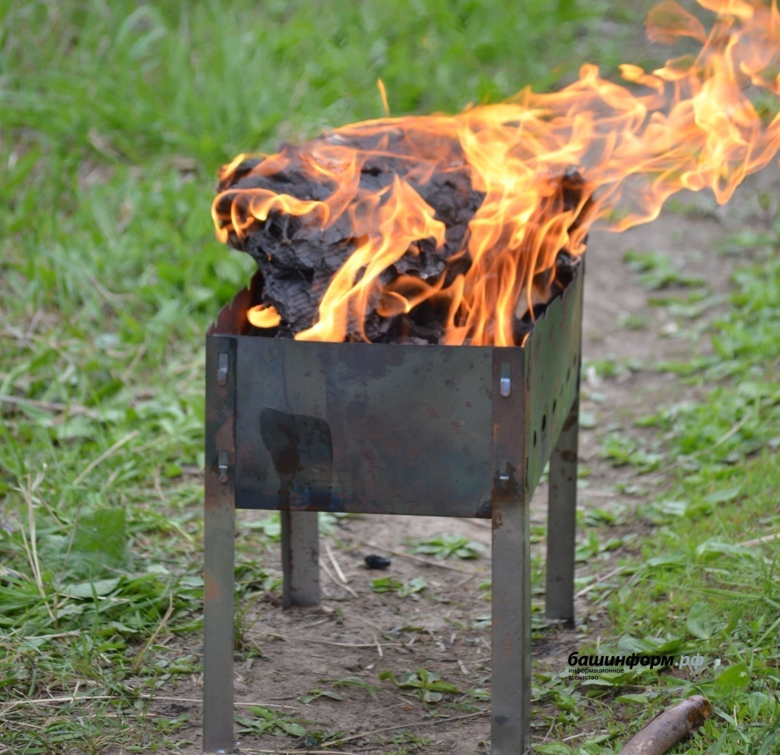 Башҡортостанада махсус режим индерелә!