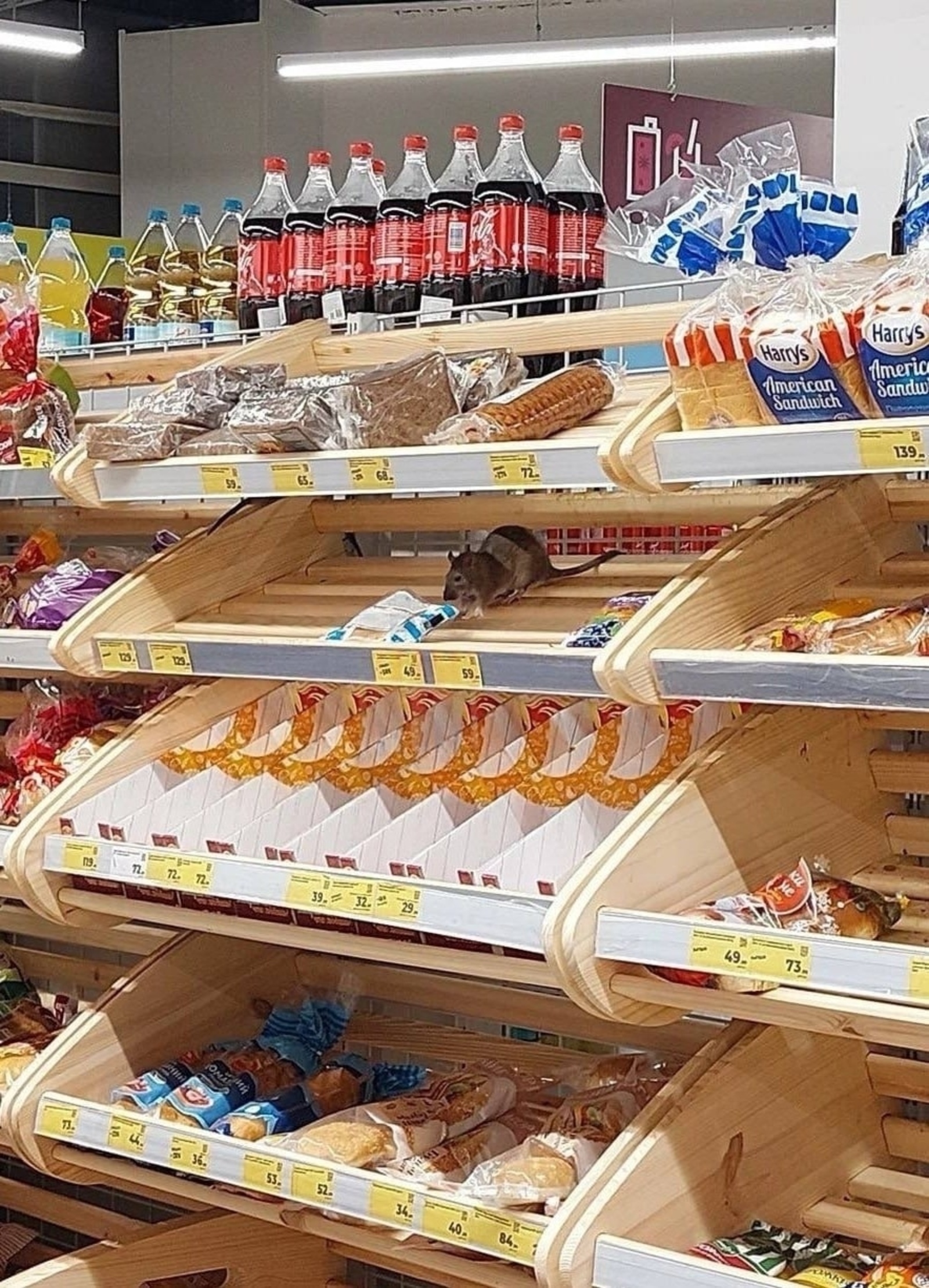 “Магнит”тың яңы хужалары