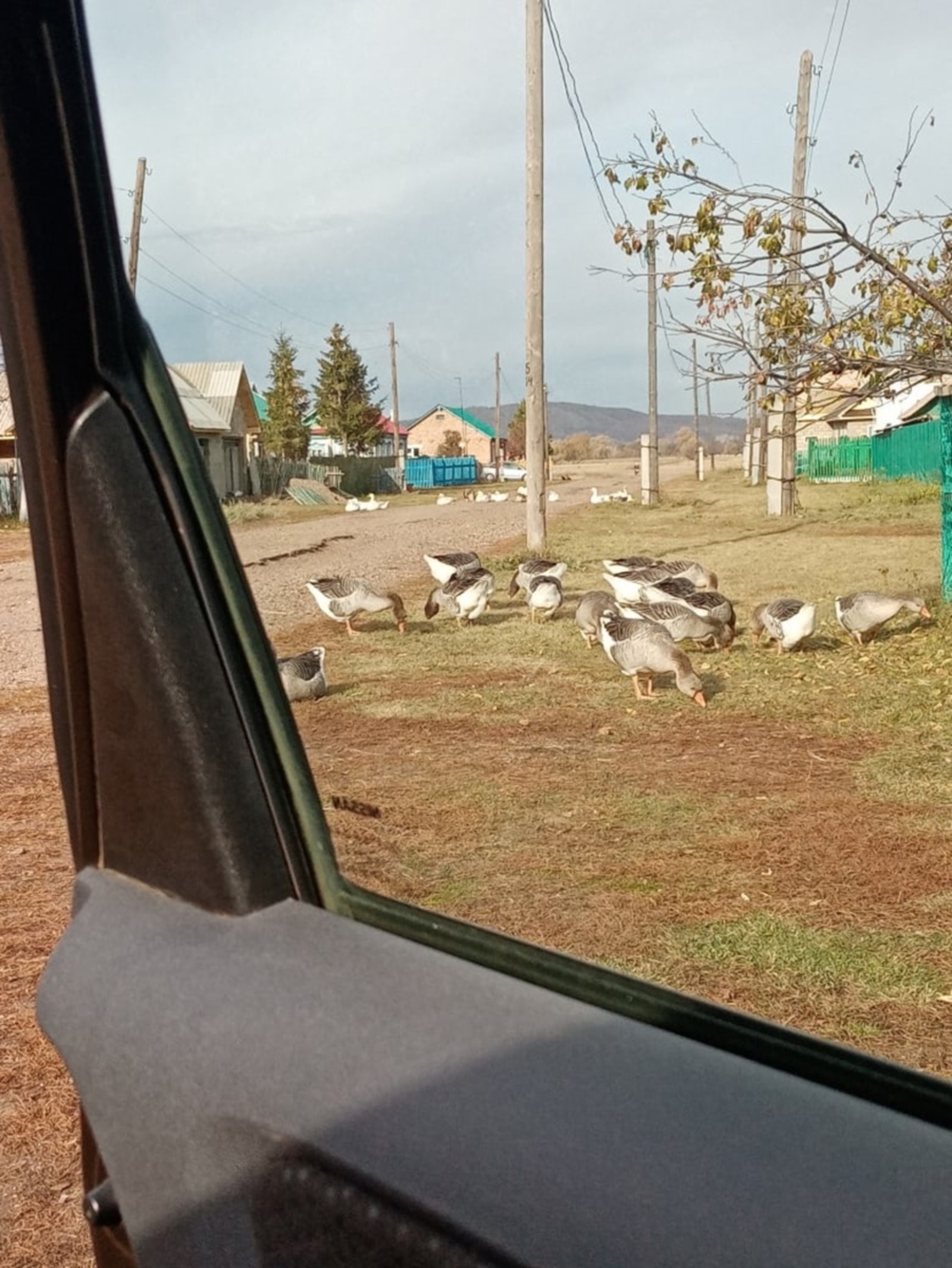 Мин үҙем ике ирҙе ташлаған бисә булараҡ, белеп әйтәм!!!