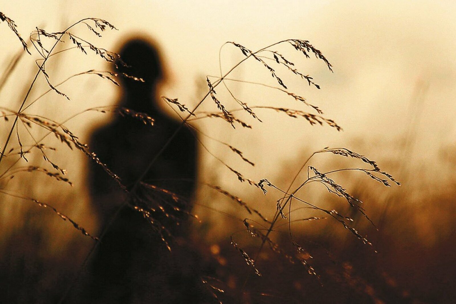 "Һеҙ тыумаһағыҙ, бәхетле булыр инем..."