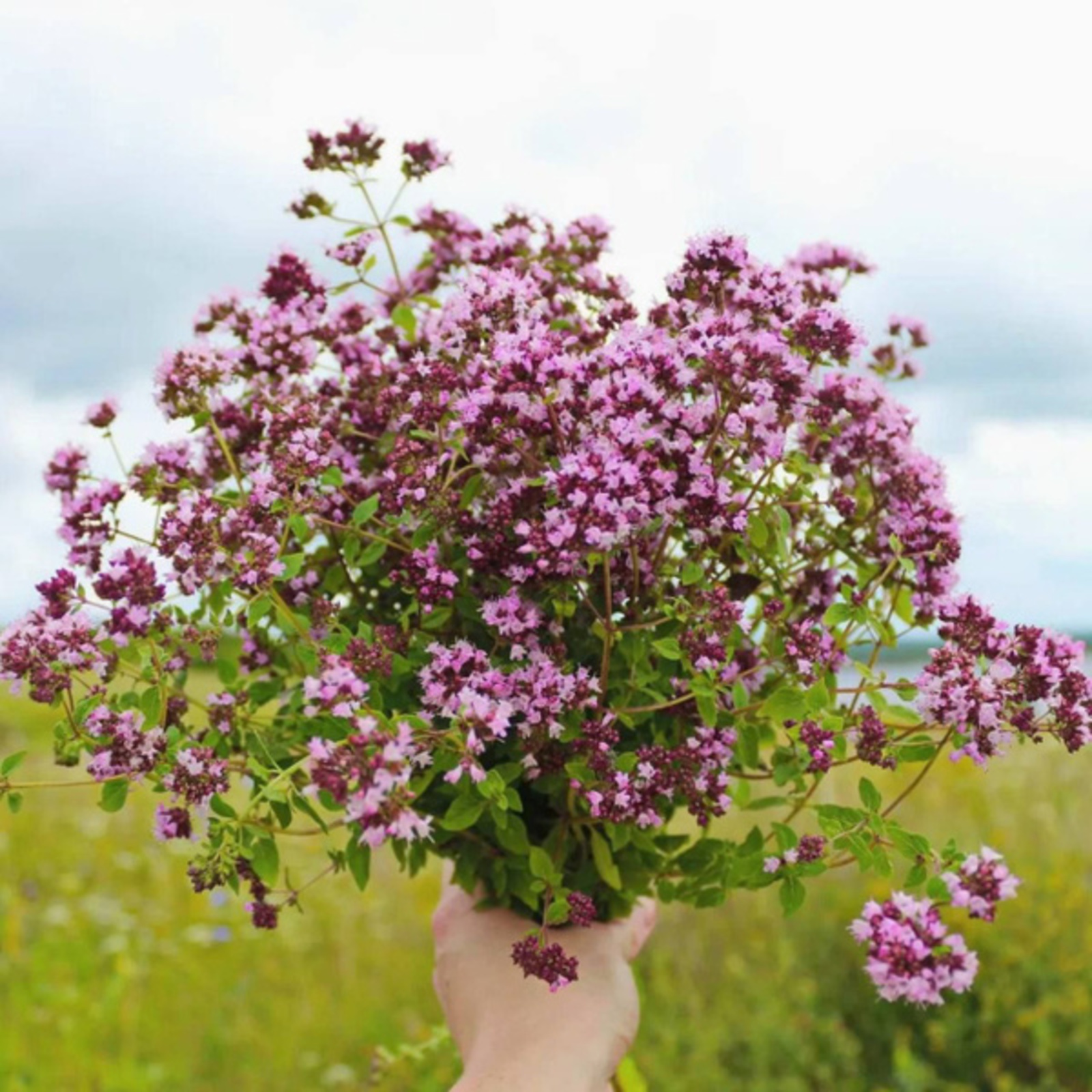 "Һеңлем атлай алмай башлағайны, уның остеопороз ине..."