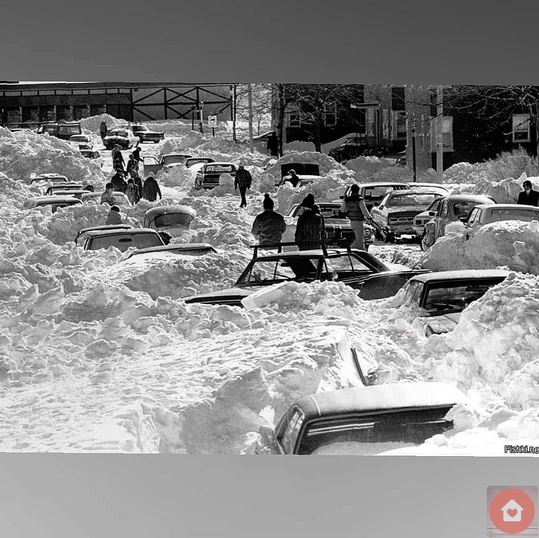 Донъя тарихындағы ғәрәсәт