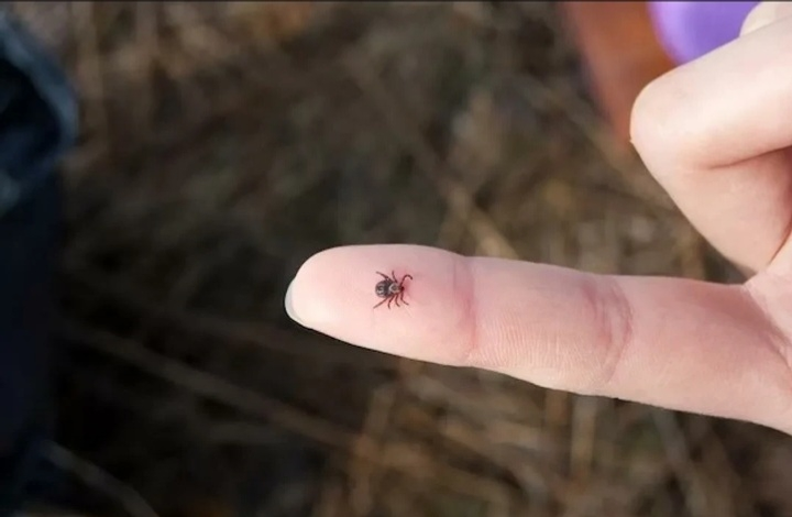 Үҙе бәләкәй генә булһа ла...