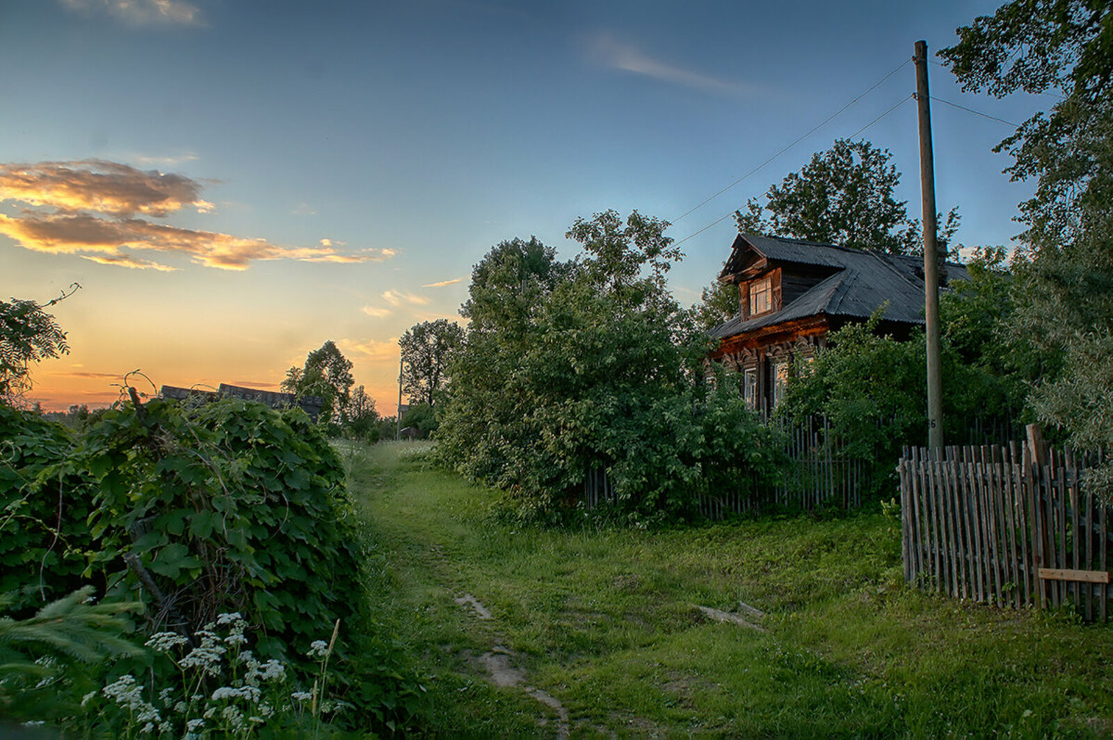 "Киленемде яратмағас, балаларын да күрә алмайым"