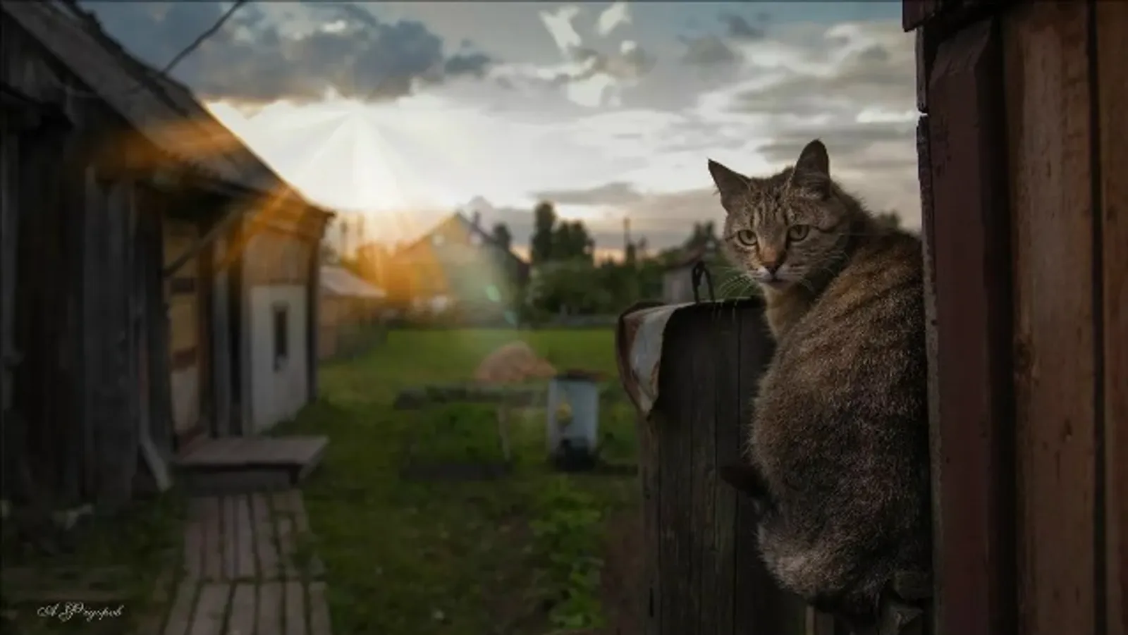 ӨЙӨҢДӘ КЕШЕ БУЛҒАНДА БЕСӘЙЕҢДЕ ЛӘ ӘРЛӘМӘ...