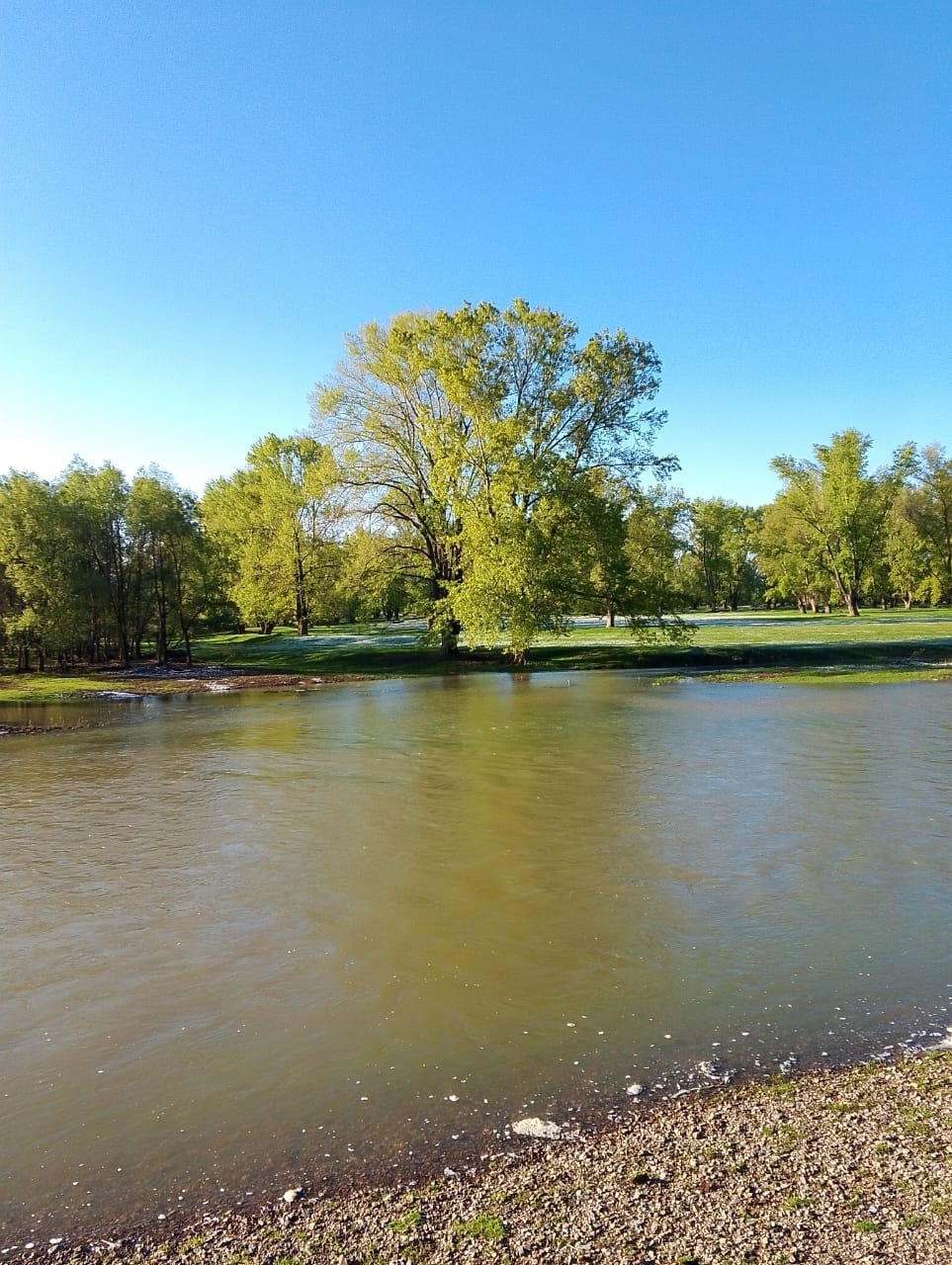 Иртә килгән яҙ ҡайҙа?